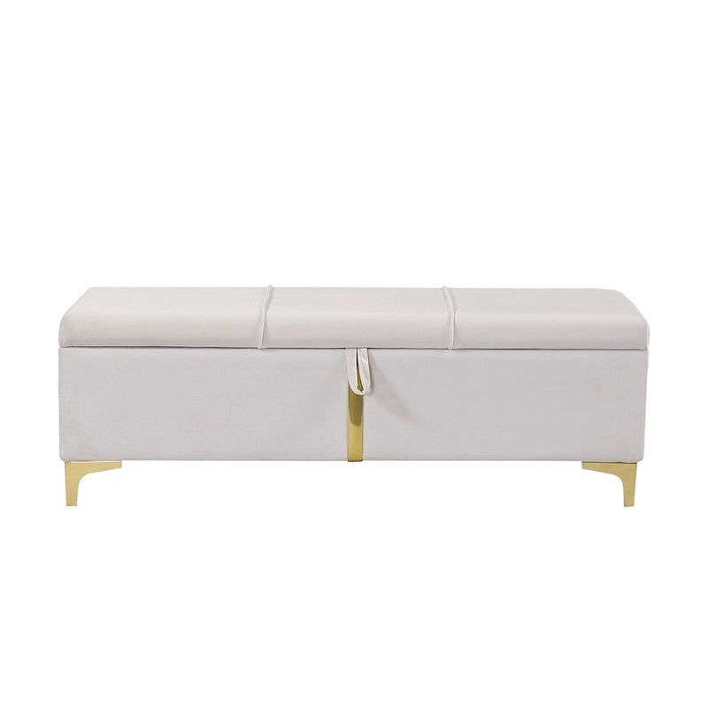 Banc de rangement élégant rembourré avec pieds en métal